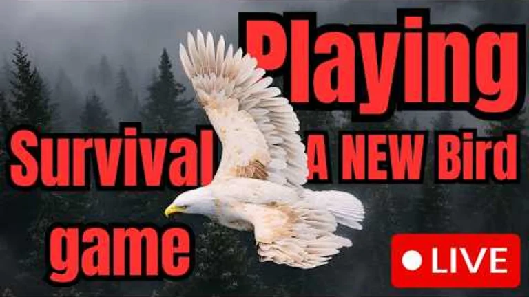 Late Kate gameplay thumbnail: Playing A NEW Bird Survival game! Roblox Broodwing | Livestream