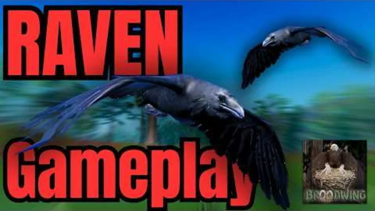 Late Kate gameplay thumbnail: I Played This NEW Bird Survival Game!!! Broodwing | Roblox